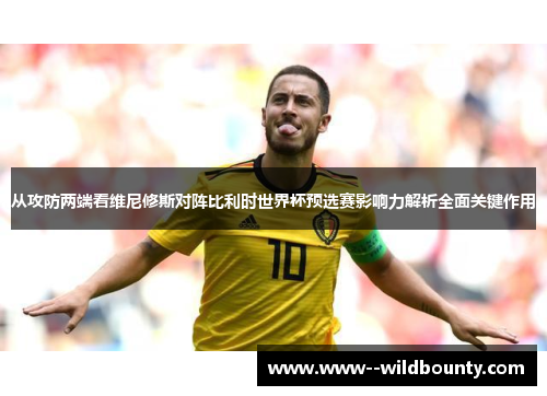 从攻防两端看维尼修斯对阵比利时世界杯预选赛影响力解析全面关键作用