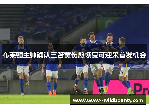 布莱顿主帅确认三笘薰伤愈恢复可迎来首发机会